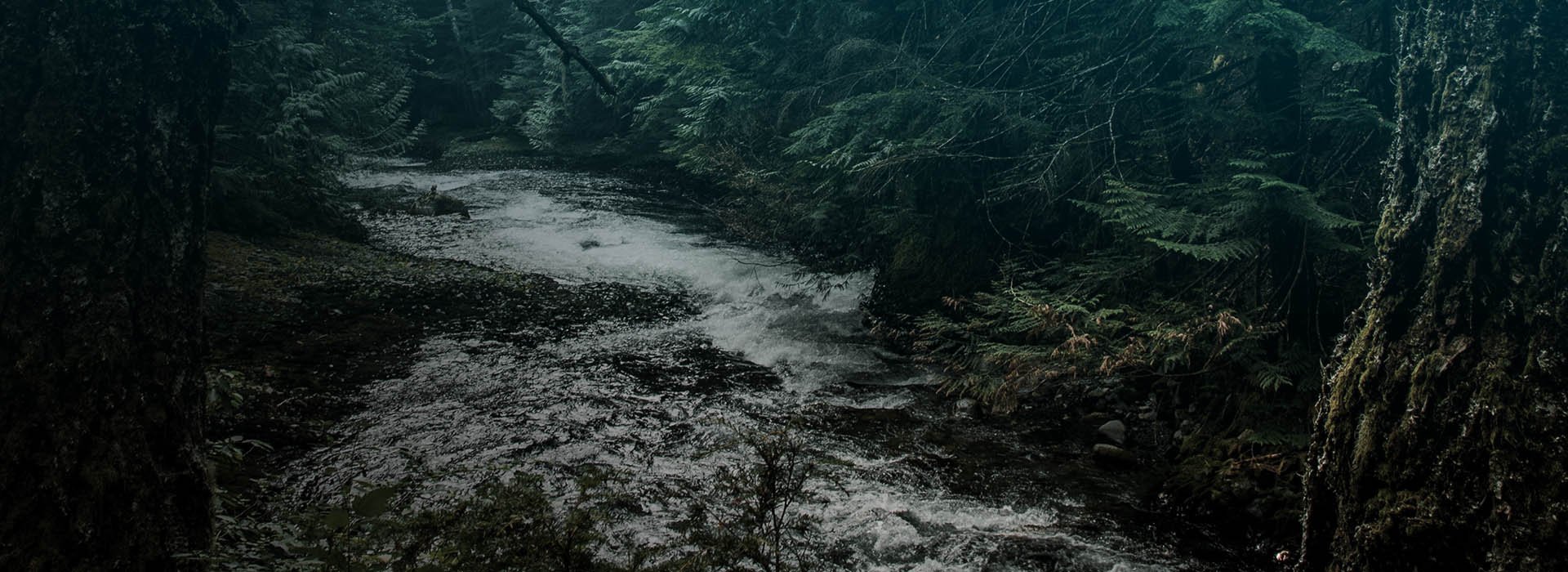 A SEARCH FOR CALMER WATERS-1920x700