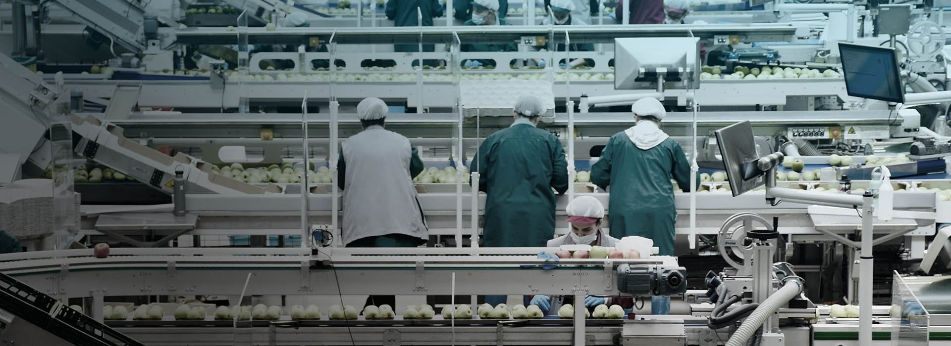 PRODUCTIVITY, PEOPLE AND UTILISATION ALONG THE SUPPLY CHAIN-1920x700