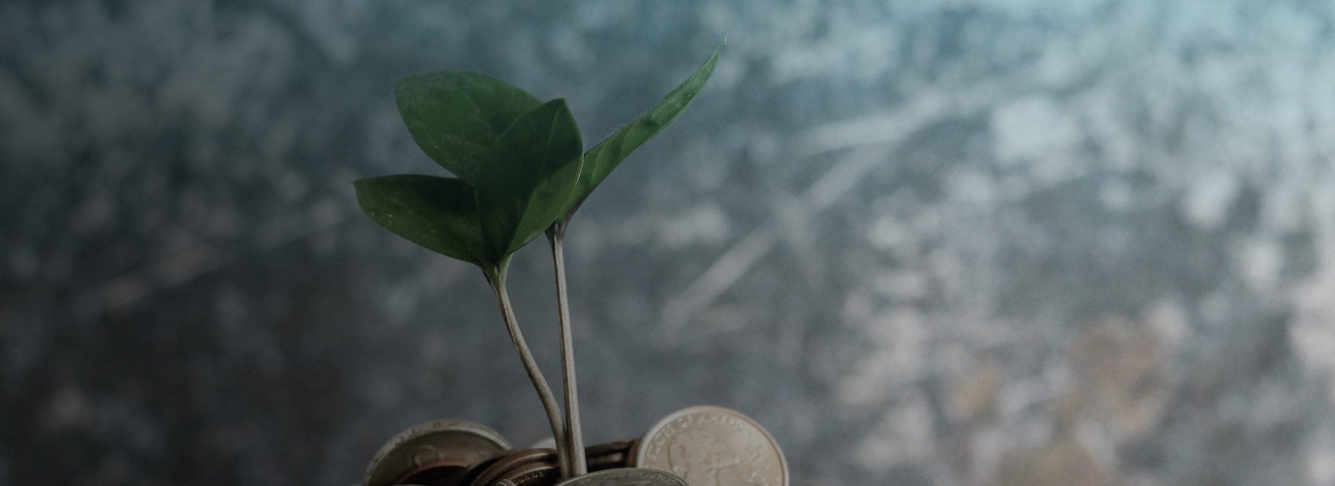 Three Major Tech Takeaways For Banking Growth
