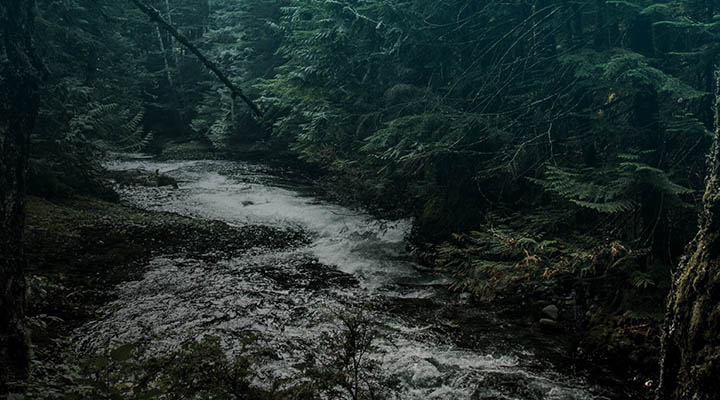A Search For Calmer Waters